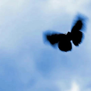 小李小李你好我要看大学生A片
