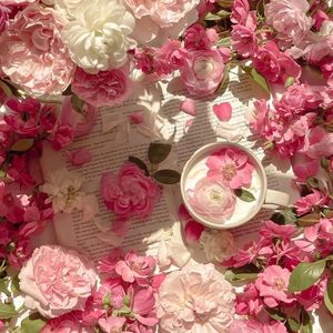 小李小李你好我要看大学生A片
